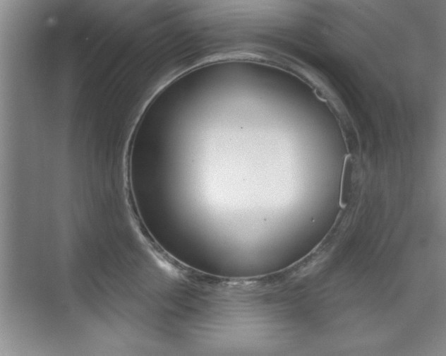 X0000073870858200608101105