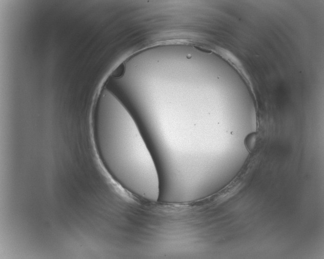 X0000073870859200608101105