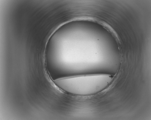 X0000073870860200608101105