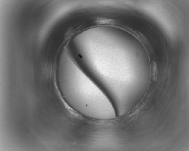 X0000073870861200608101105