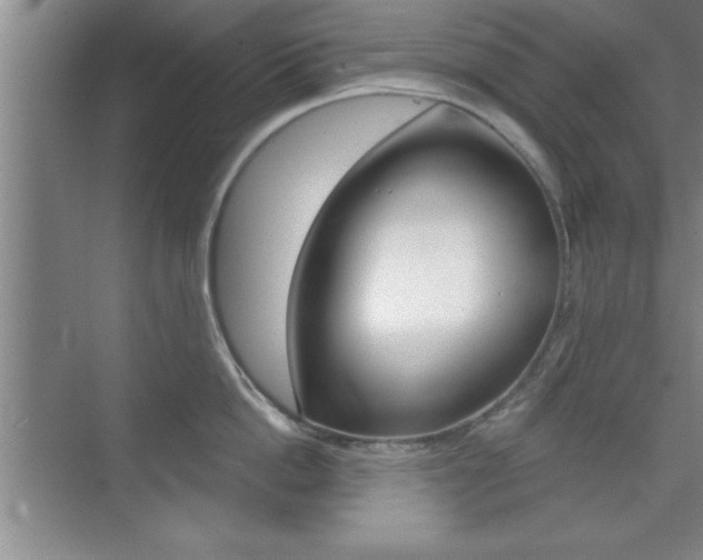 X0000073870862200608101105