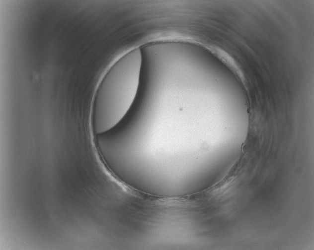 X0000073870863200608101105