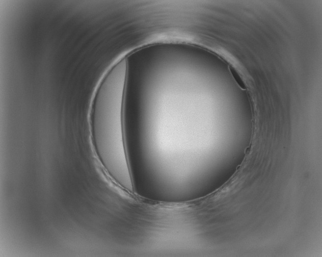 X0000073870864200608101105