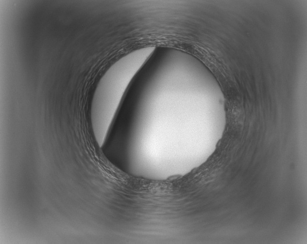 X0000073870865200608101104