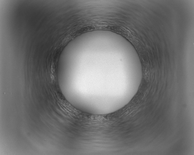 X0000073870866200608101104