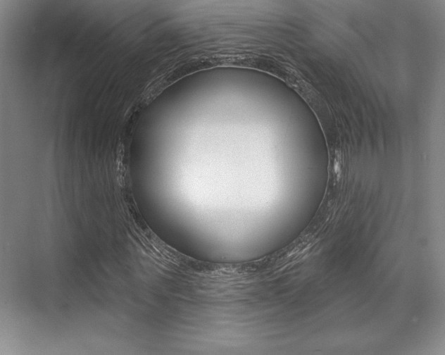 X0000073870867200608101104