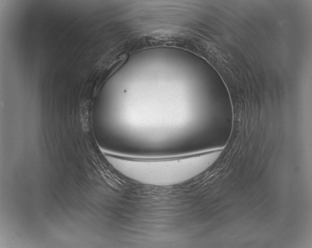 X0000073870868200608101104