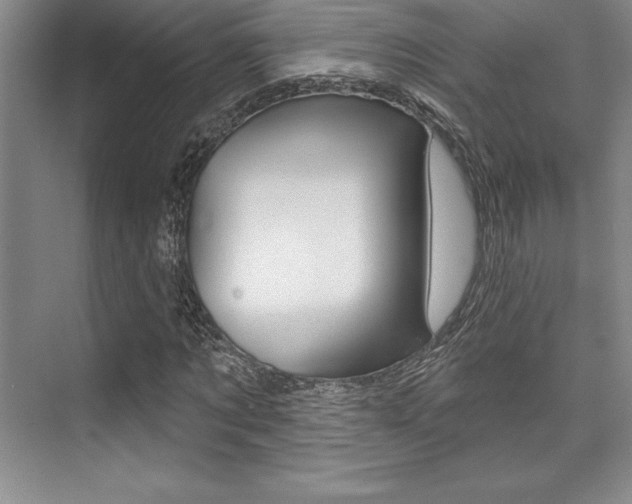 X0000073870869200608101104