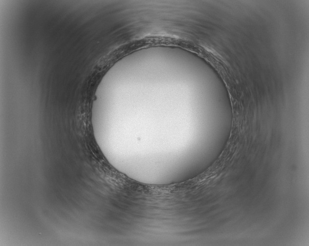 X0000073870870200608101104