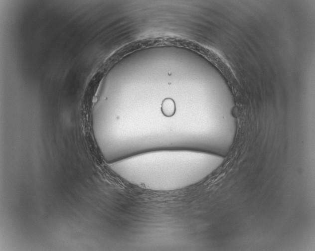 X0000073870871200608101104