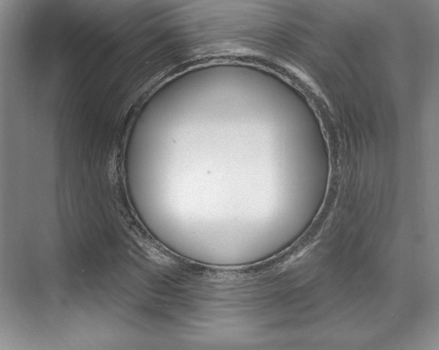X0000073870873200608101104