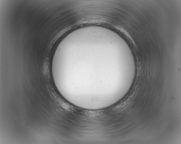 X0000073870874200608101104