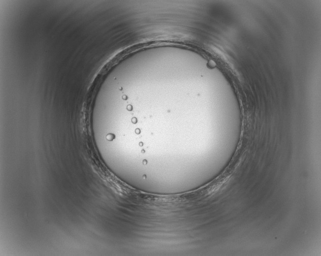 X0000073870875200608101104