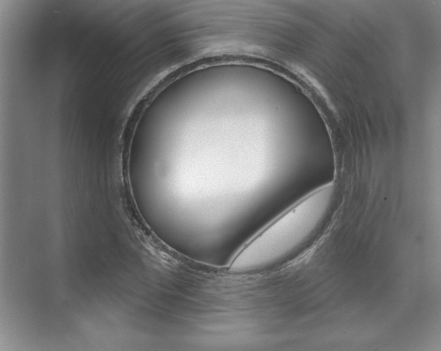 X0000073870877200608101104