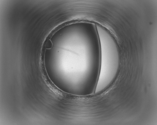 X0000073870880200608101104