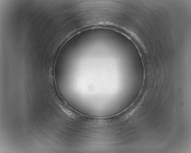 X0000073870881200608101104