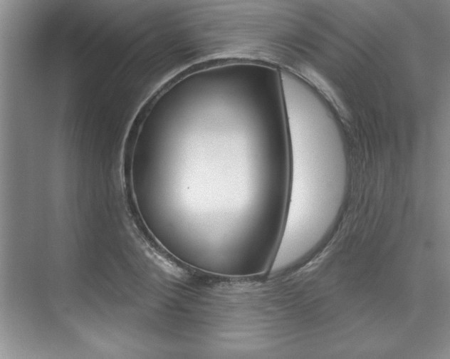 X0000073870884200608101104