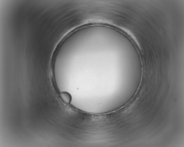 X0000073870887200608101104