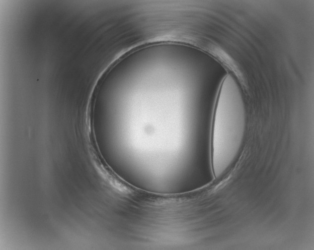 X0000073870892200608101104