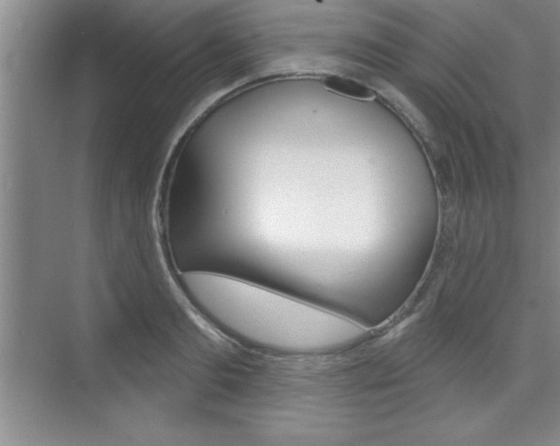 X0000073870893200608101104