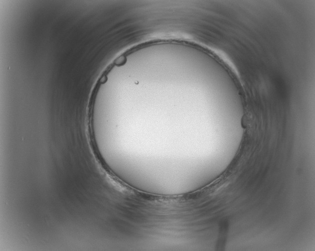 X0000073870895200608101104