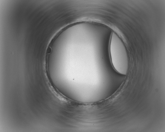 X0000073870896200608101104