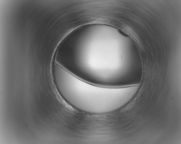 X0000073870900200608101104