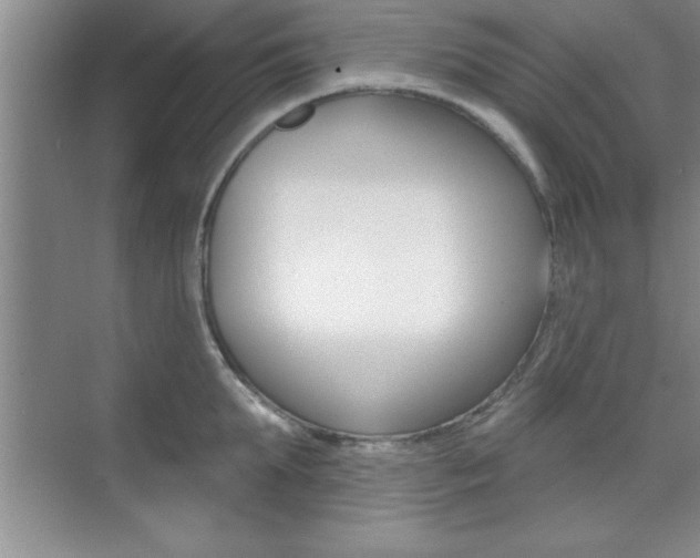 X0000073870903200608101104