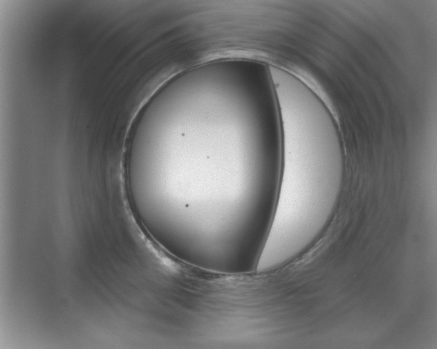 X0000073870906200608101104