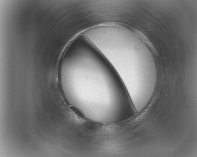 X0000073870908200608101104