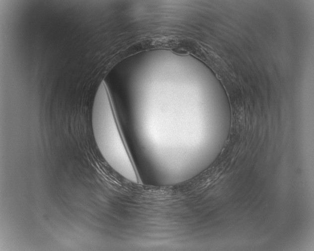 X0000073870914200608101103
