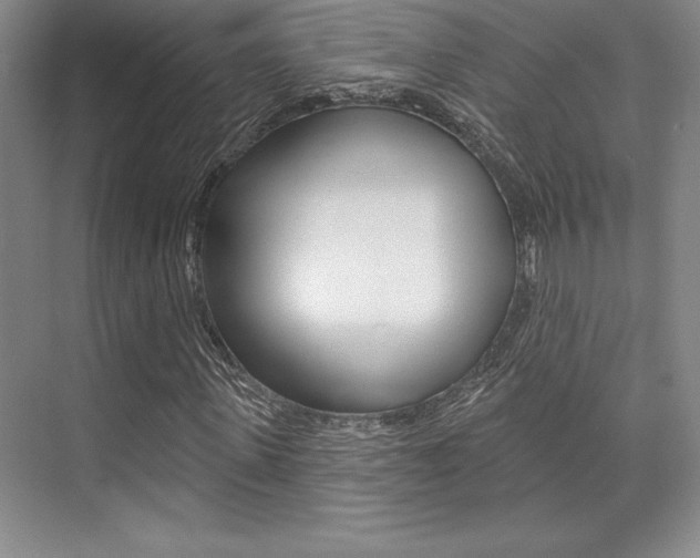 X0000073870915200608101103