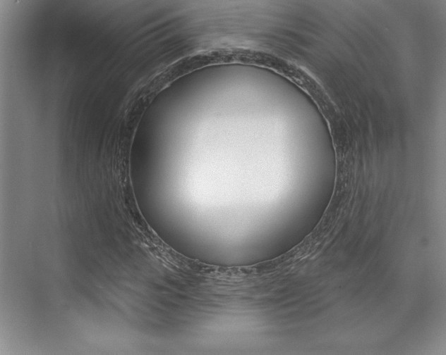 X0000073870919200608101103