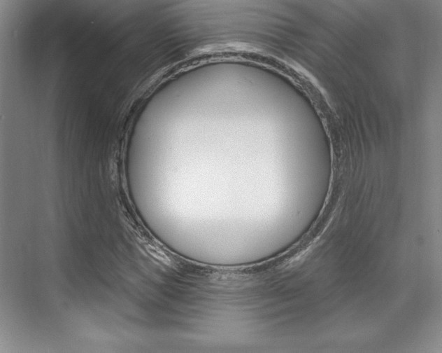 X0000073870921200608101103