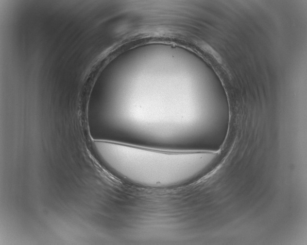 X0000073870922200608101103