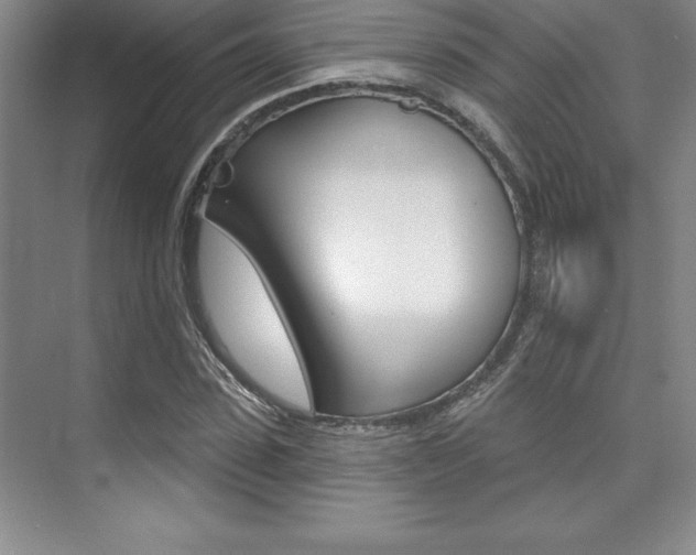 X0000073870923200608101103