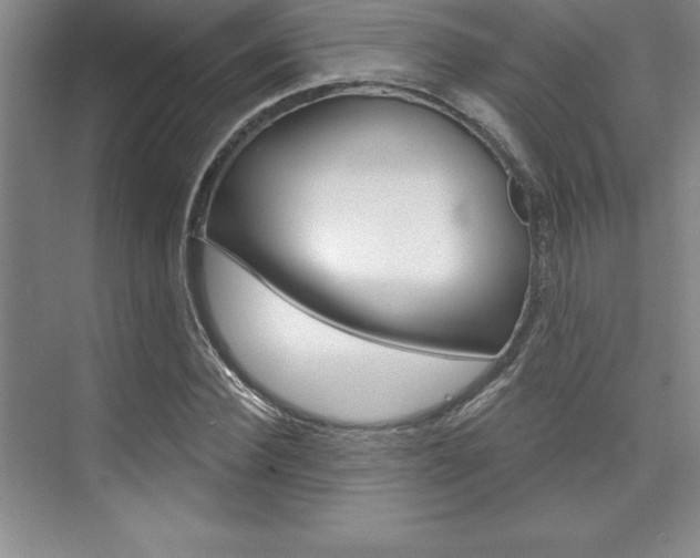 X0000073870924200608101103