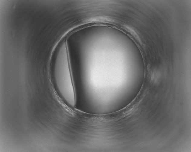 X0000073870931200608101103