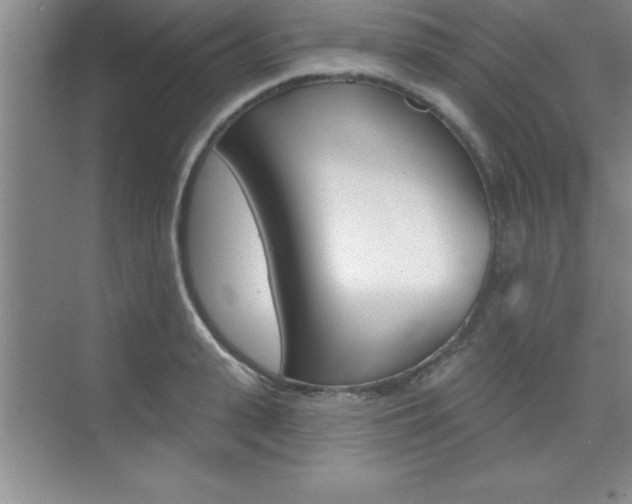 X0000073870943200608101103