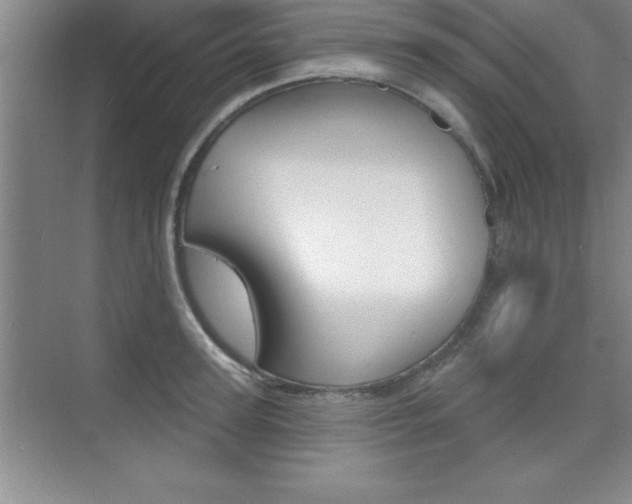 X0000073870947200608101103