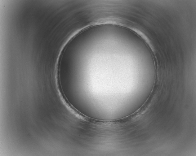 X0000073870949200608101103