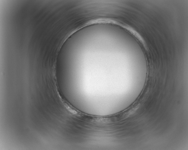 X0000073870953200608101103