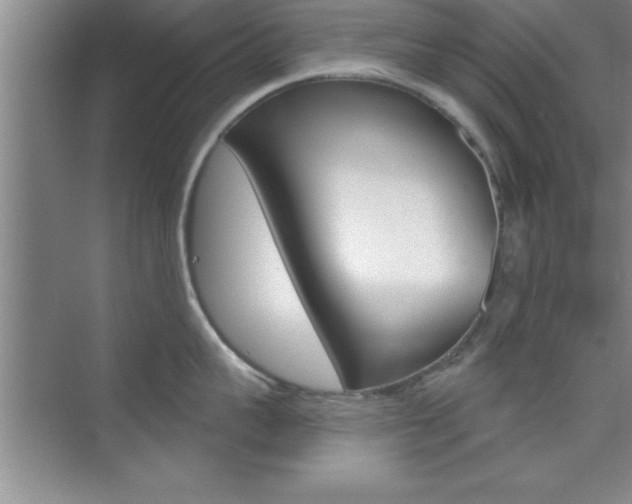 X0000073870959200608101103