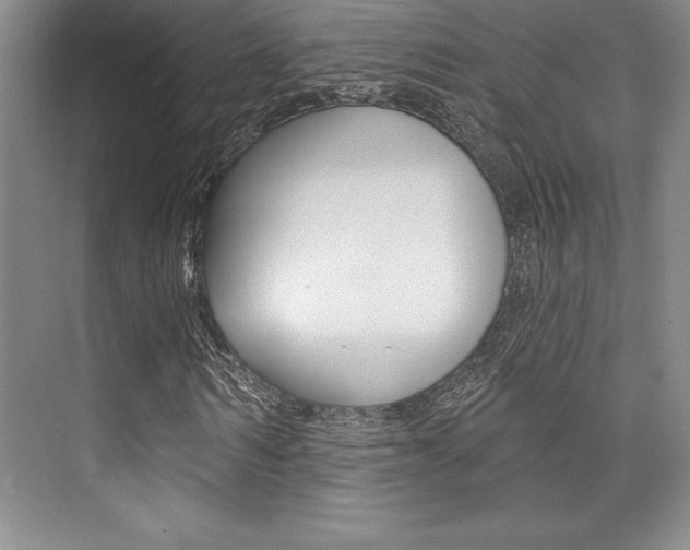 X0000073870962200608101103