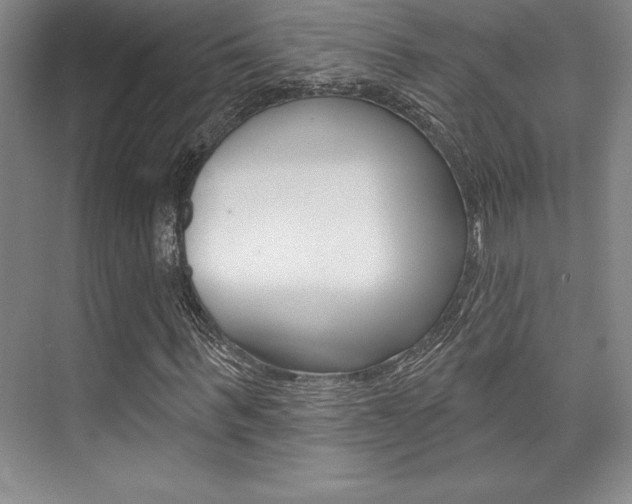 X0000073870963200608101103