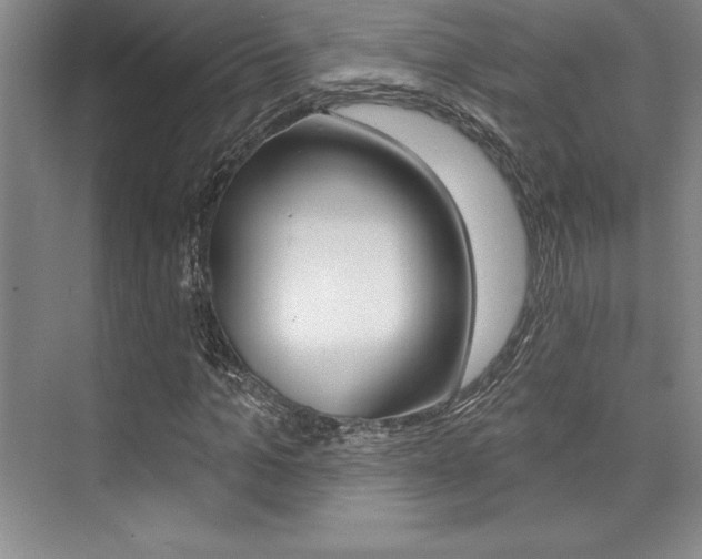X0000073870965200608101103