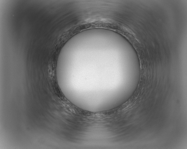 X0000073870966200608101103