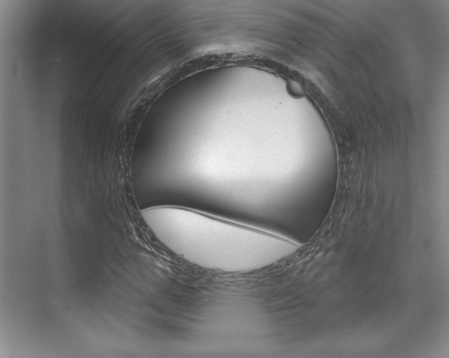 X0000073870967200608101103