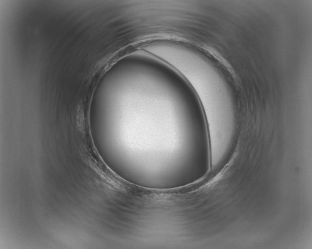 X0000073870969200608101102