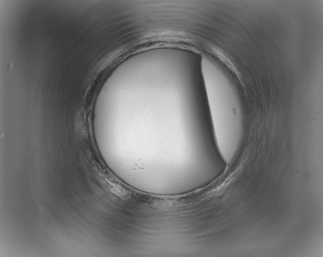X0000073870970200608101102
